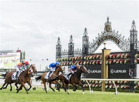 mackinnon stakes betting|TAB Champions Stakes 2023 Tips, Odds, Field & Barrier Draw.